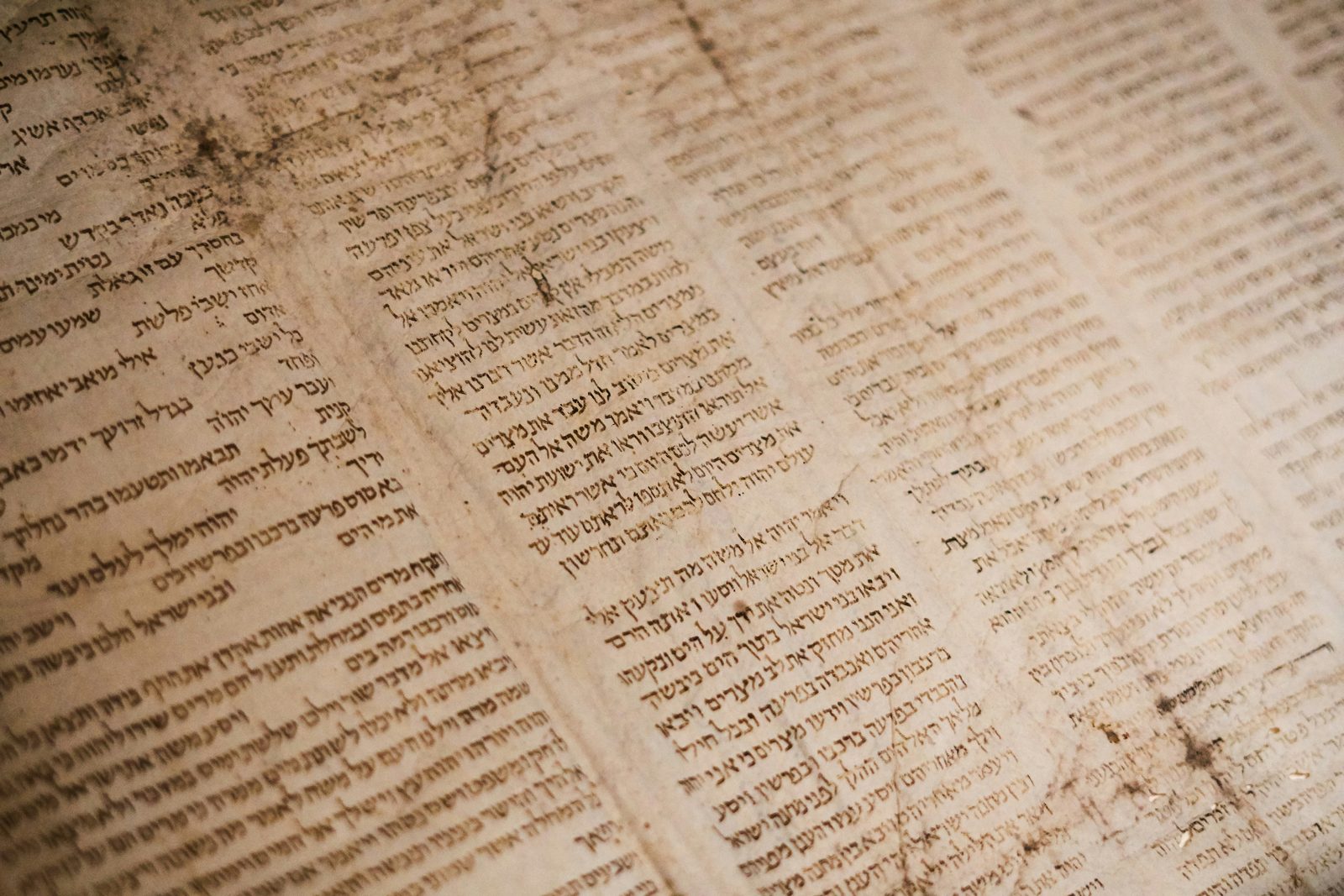 An open page of Torah in soft light, representing tradition, expectation, and Jewish men's anxiety and stress therapy online across Ontario.